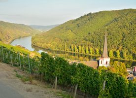 Mosel Sehenswürdigkeit Bild