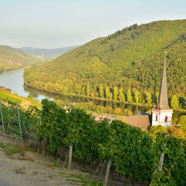 Mosel Sehenswürdigkeit Bild