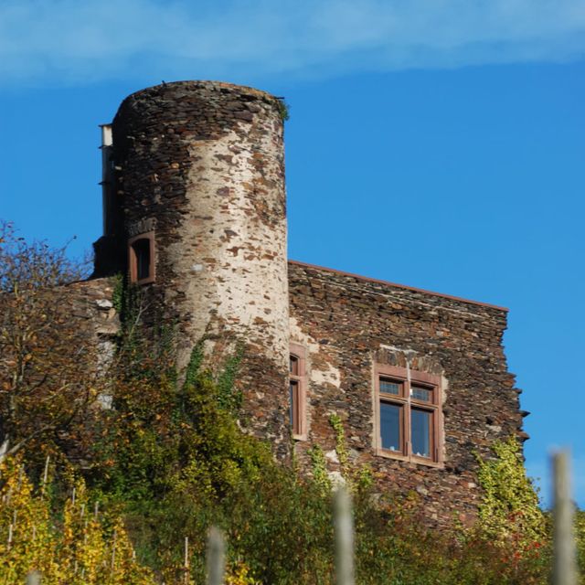 Mosel Sehenswürdigkeit Bild