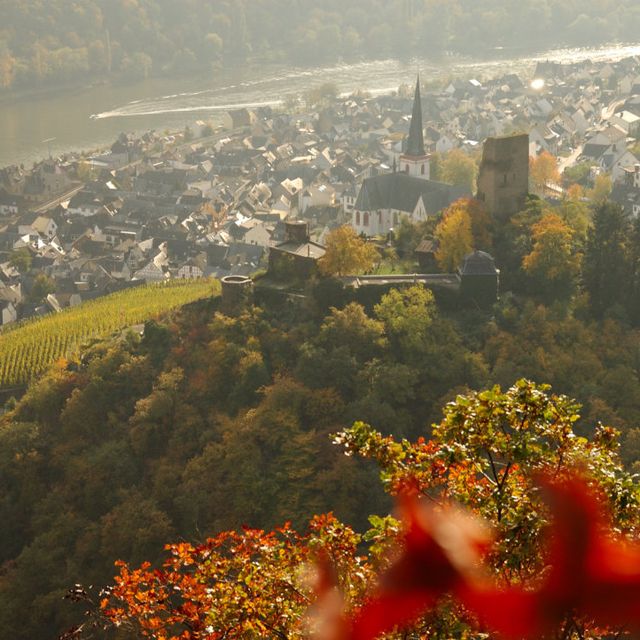 Mosel Sehenswürdigkeit Bild