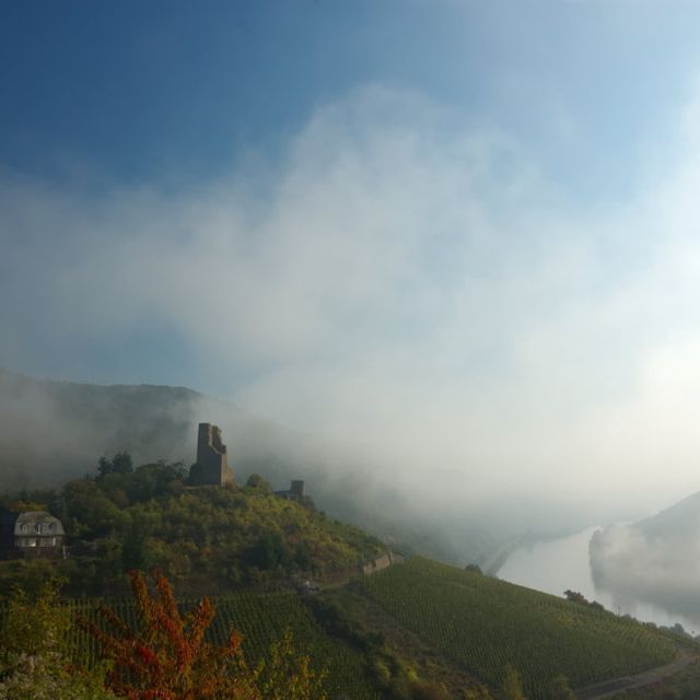 Mosel Sehenswürdigkeit Bild